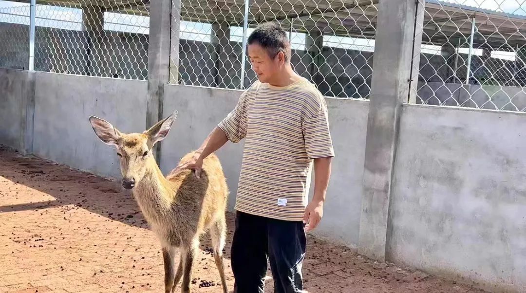 游艇会0088yth